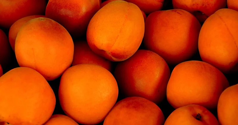 Quelle technique pour quel fruit ?
