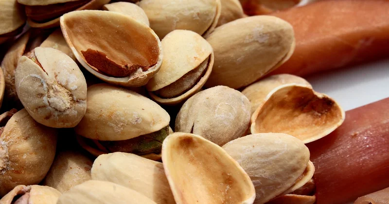 Comparatif : quelles tapas pour quel type de soirée ?