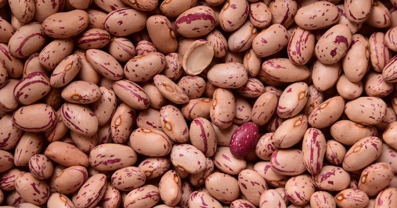 Apéro végétarien : 30 idées de bouchées sans viande qui bluffent