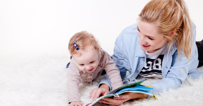 Plats végétariens riches en protéines pour toute la famille
